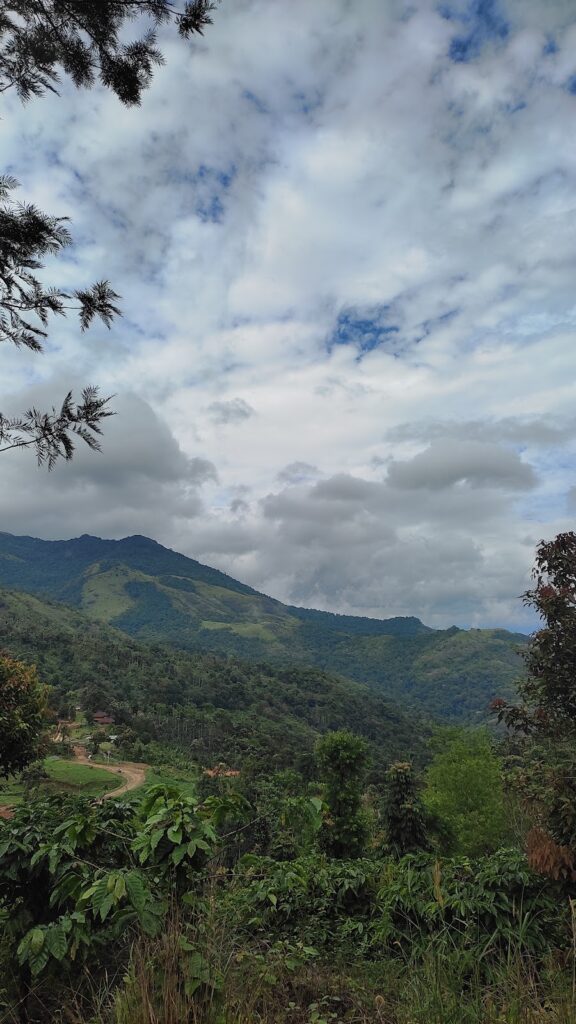 Hills of Kakkadampoyil