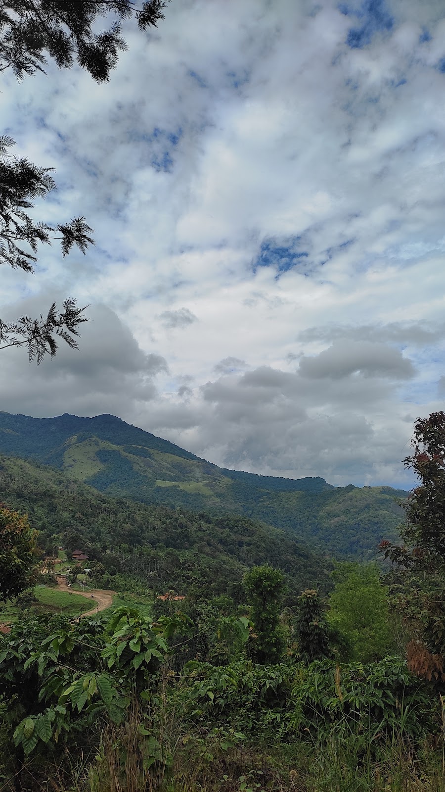 Hills of Kakkadampoyil