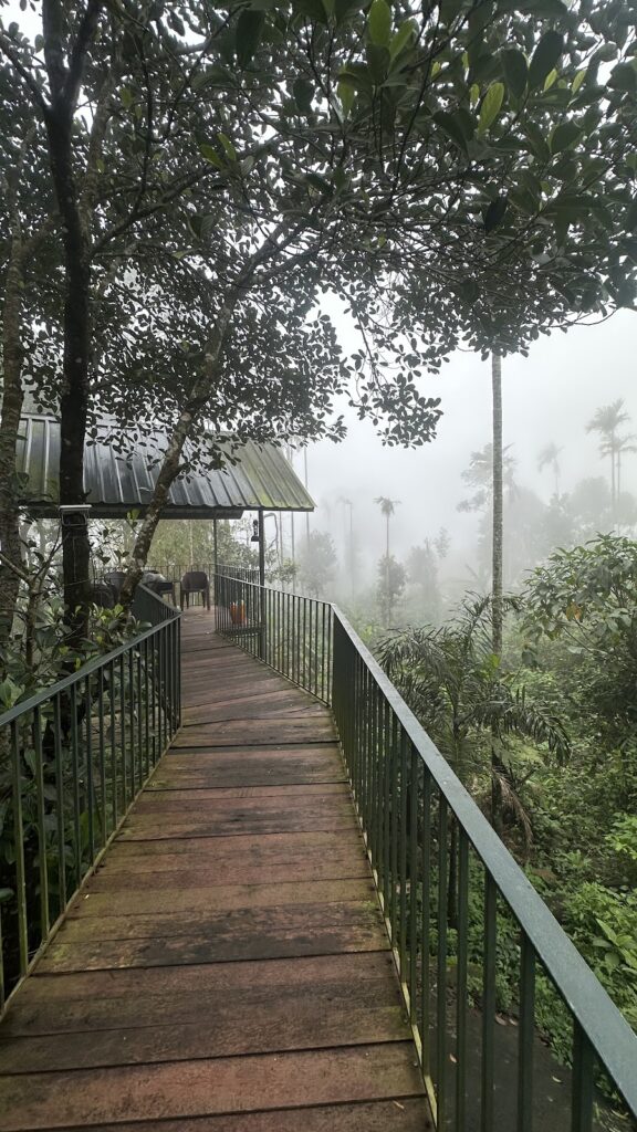 Kakkadampoyil View Point