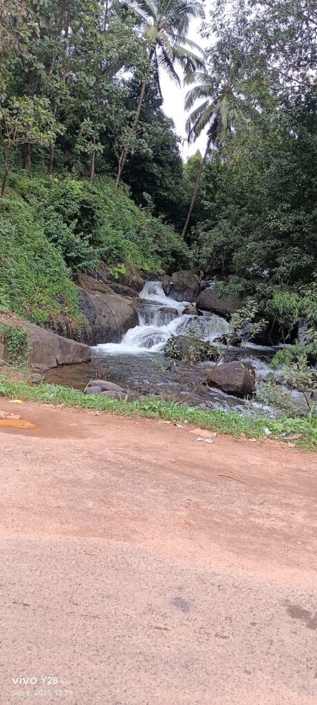 Kakkadampoyil View Point