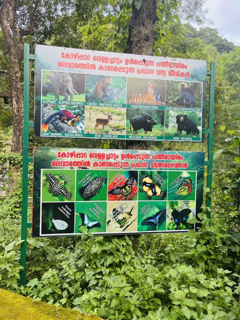 Kozhippara Waterfalls