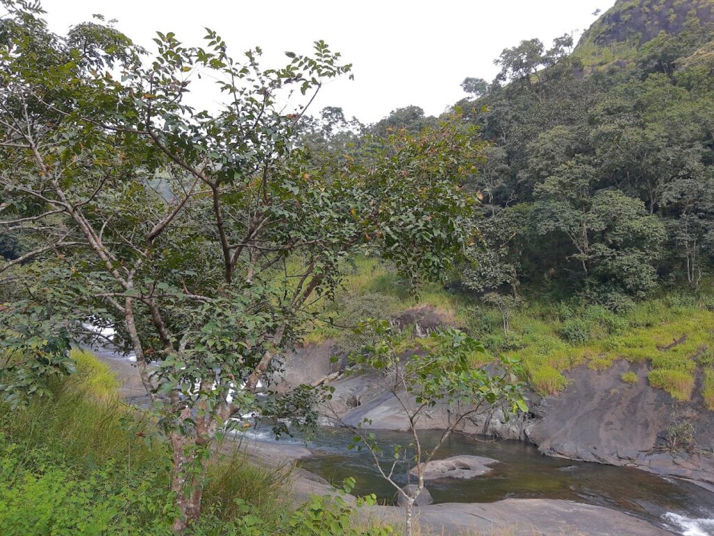Kozhippara Waterfalls