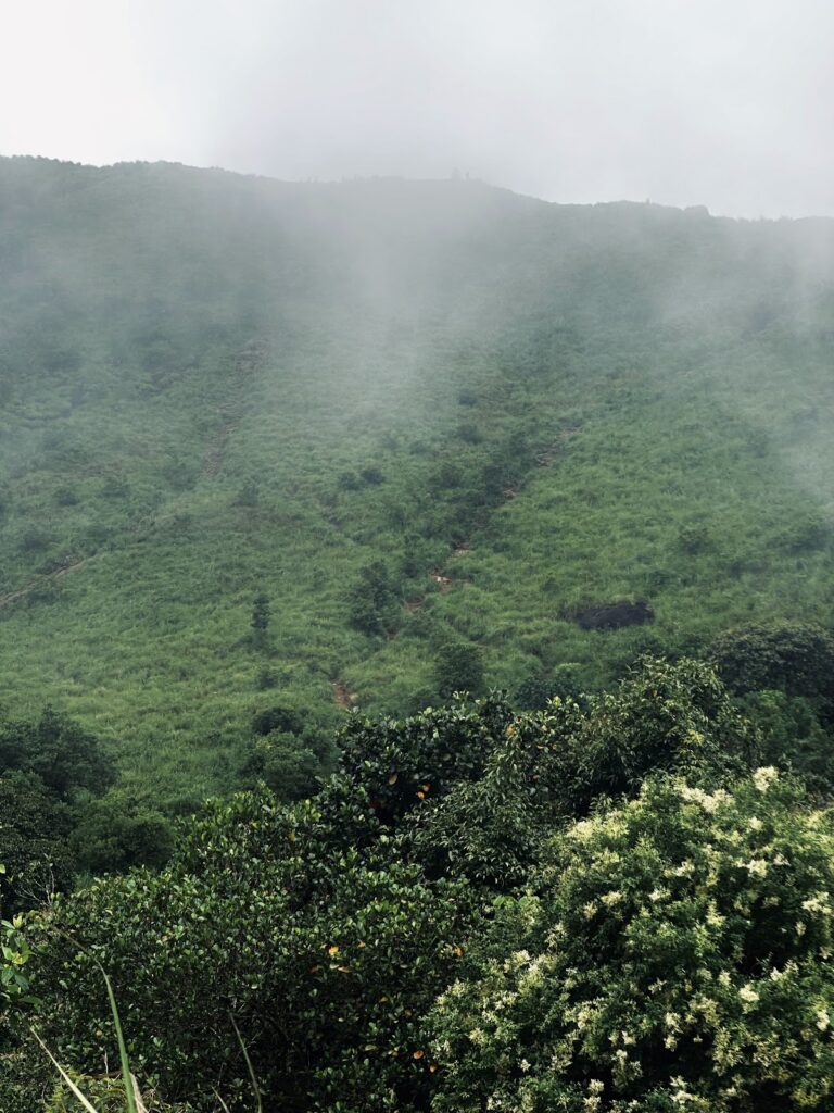 Nayadmpoyil View Point