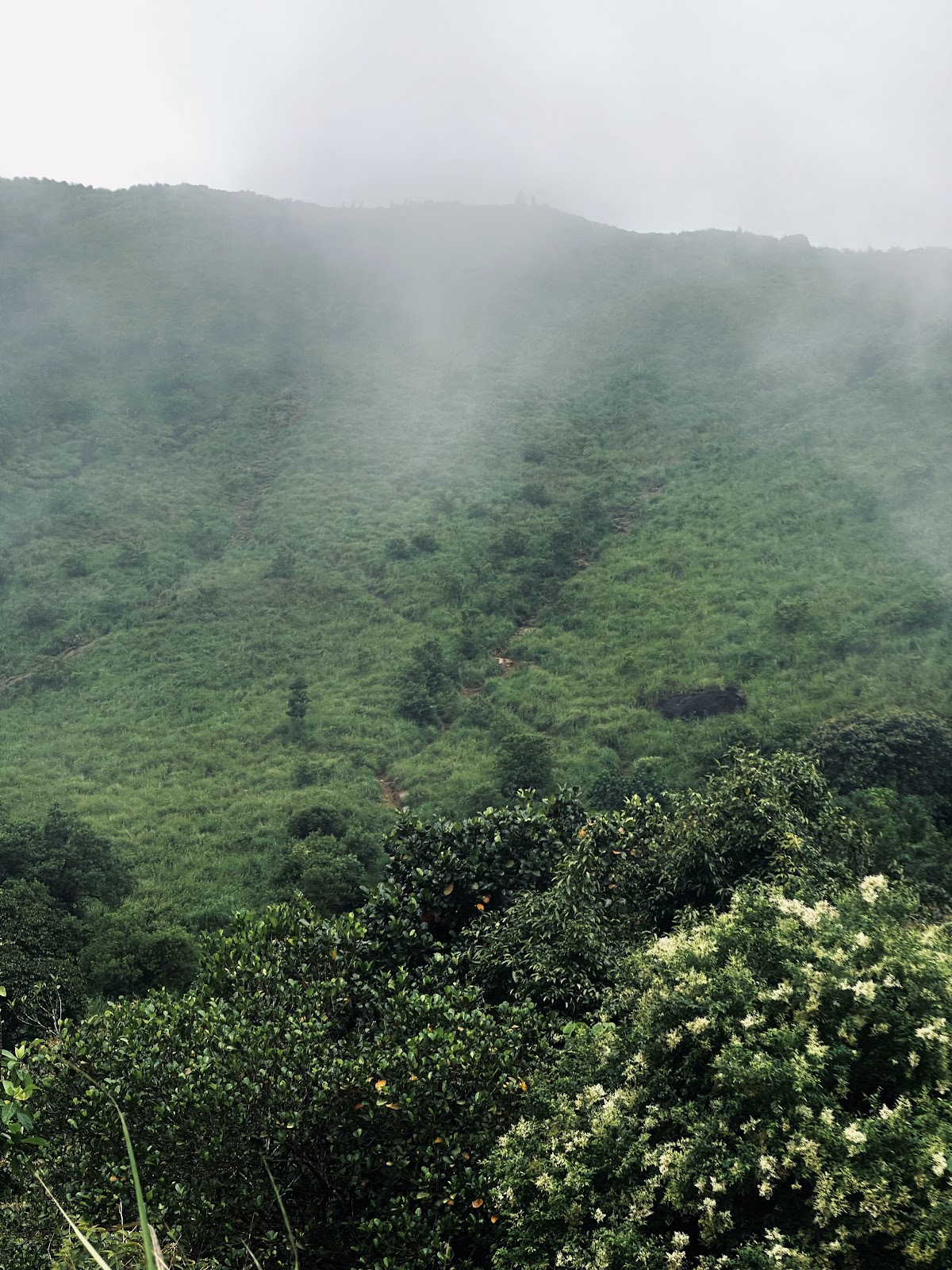 Nayadmpoyil View Point