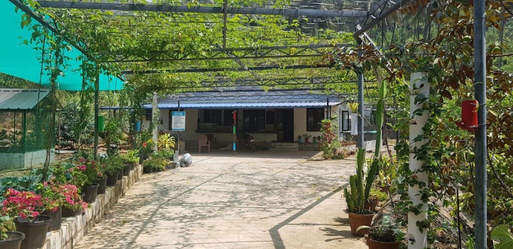 Pah Organic Farm