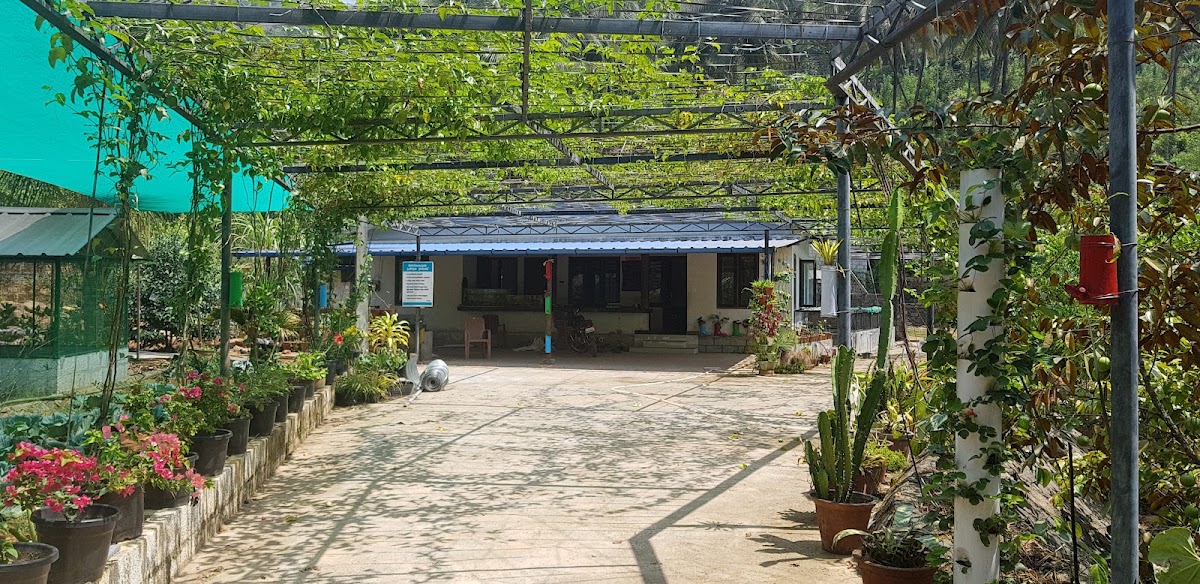 Pah Organic Farm