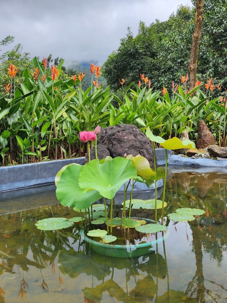 Resort photo 5